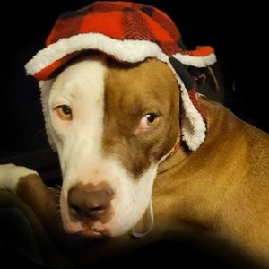 Meet your Posher, Gary